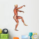 Muscle Maps Anatomy Wall Decal