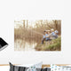 Boys fishing on the lake Wall Mural
