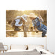 Boy fishes on a bridge on the lake Wall Mural