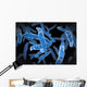 Bacterial infection tuberculosis Wall Mural