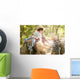 Boys travelers exploring route map Wall Mural