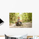 Boy traveler exploring route map Wall Mural
