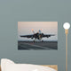 Super Hornet Wall Mural
