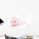 Asahiyamazakura Cherry blossom Wall Decal