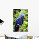 Blue Hyacinth Macaw Wall Mural