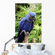 Blue Hyacinth Macaw Wall Mural