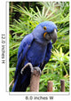 Blue Hyacinth Macaw Wall Mural