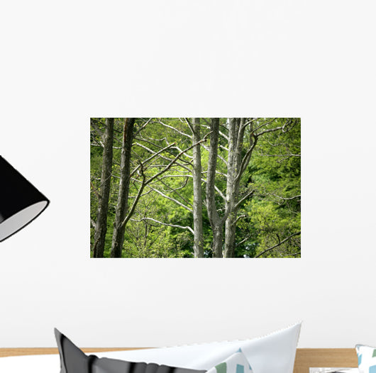 Forest Wall Mural