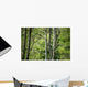 Forest Wall Mural