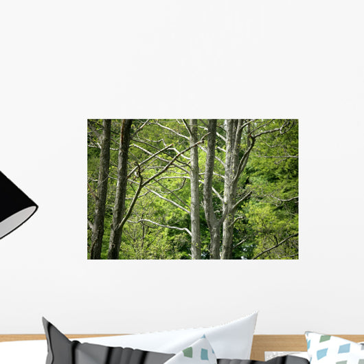 Forest Wall Mural