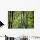 Forest Wall Mural