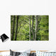 Forest Wall Mural