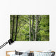 Forest Wall Mural