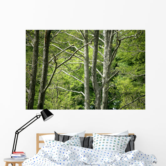 Forest Wall Mural