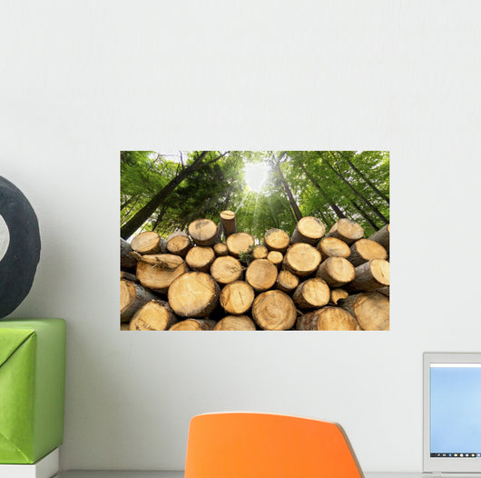 Wooden Logs with Forest Wall Mural