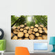 Wooden Logs with Forest Wall Mural