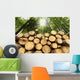Wooden Logs with Forest Wall Mural