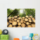 Wooden Logs with Forest Wall Mural