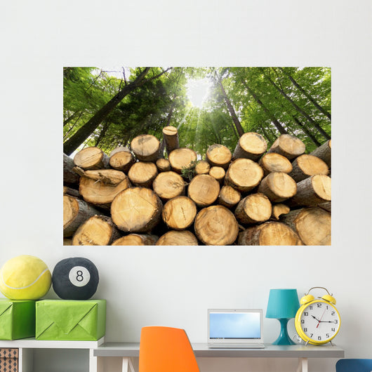 Wooden Logs with Forest Wall Mural