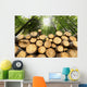 Wooden Logs with Forest Wall Mural