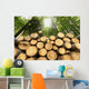 Wooden Logs with Forest Wall Mural