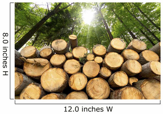 Wooden Logs with Forest Wall Mural