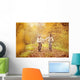 Active seniors riding bike Wall Mural