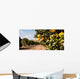 Raw Food Fruit Oranges Ripening Agriculture Farm Orange Grove Wall Mural