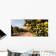 Raw Food Fruit Oranges Ripening Agriculture Farm Orange Grove Wall Mural