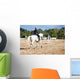 horse riding Wall Mural