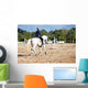 horse riding Wall Mural