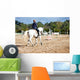 horse riding Wall Mural