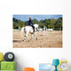 horse riding Wall Mural