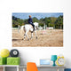 horse riding Wall Mural