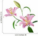Pink lilly flowers Wall Decal
