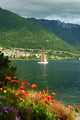 Lake Leman/geneve Wall Mural