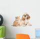 Cocker Spaniel Puppy and