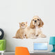 Cocker Spaniel Puppy and
