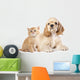 Cocker Spaniel Puppy and