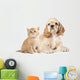 Cocker Spaniel Puppy and