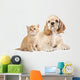 Cocker Spaniel Puppy and