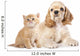 Cocker Spaniel Puppy and