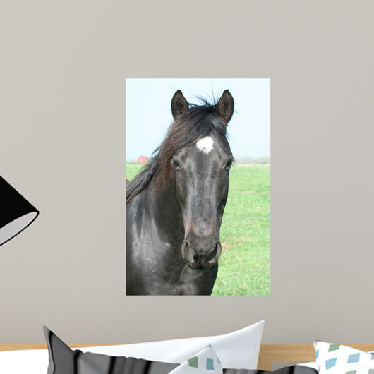 Black Horse