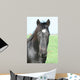 Black Horse