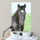 Black Horse