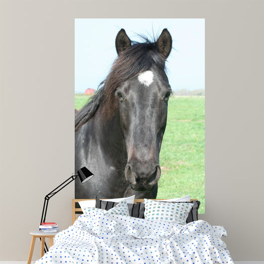 Black Horse