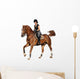 Brunette woman cantering on chestnut horse isolated on white Wall Decal