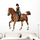Brunette woman cantering on chestnut horse isolated on white Wall Decal