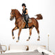 Brunette woman cantering on chestnut horse isolated on white Wall Decal