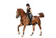 Brunette woman cantering on chestnut horse isolated on white Wall Decal